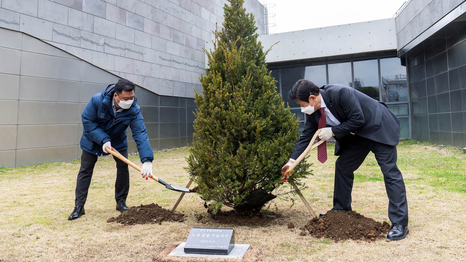 기념식수 식재