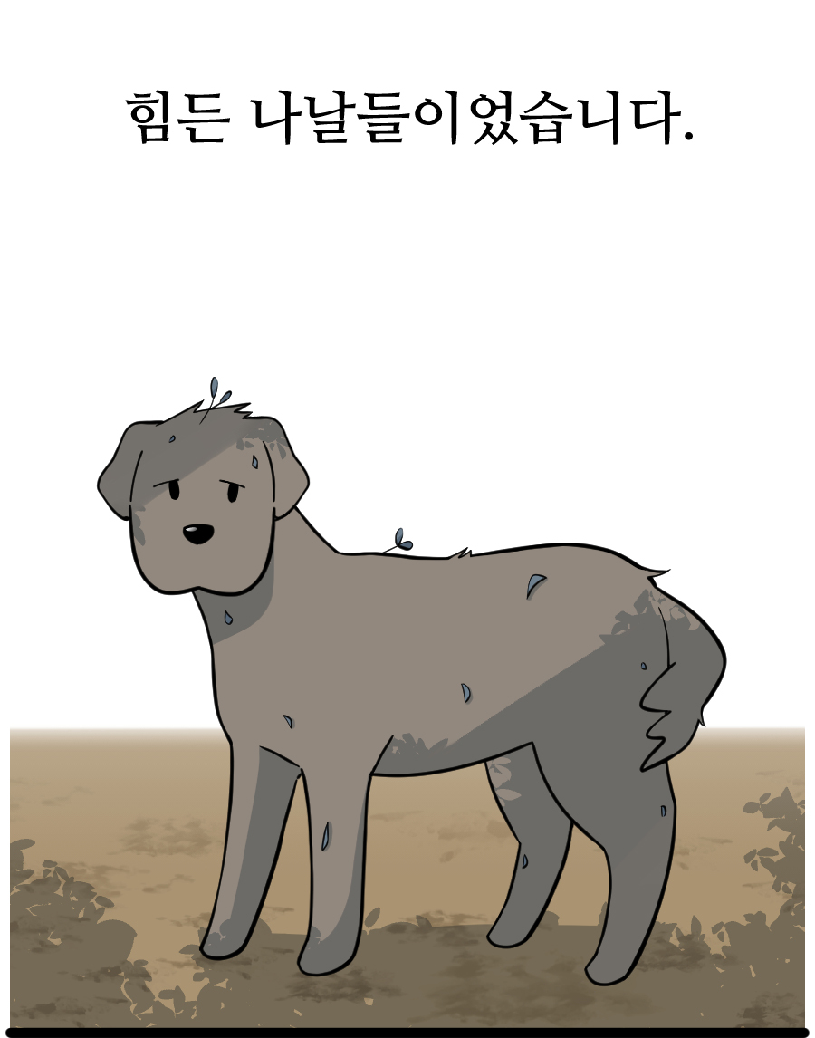 힘든 나날들이었습니다.