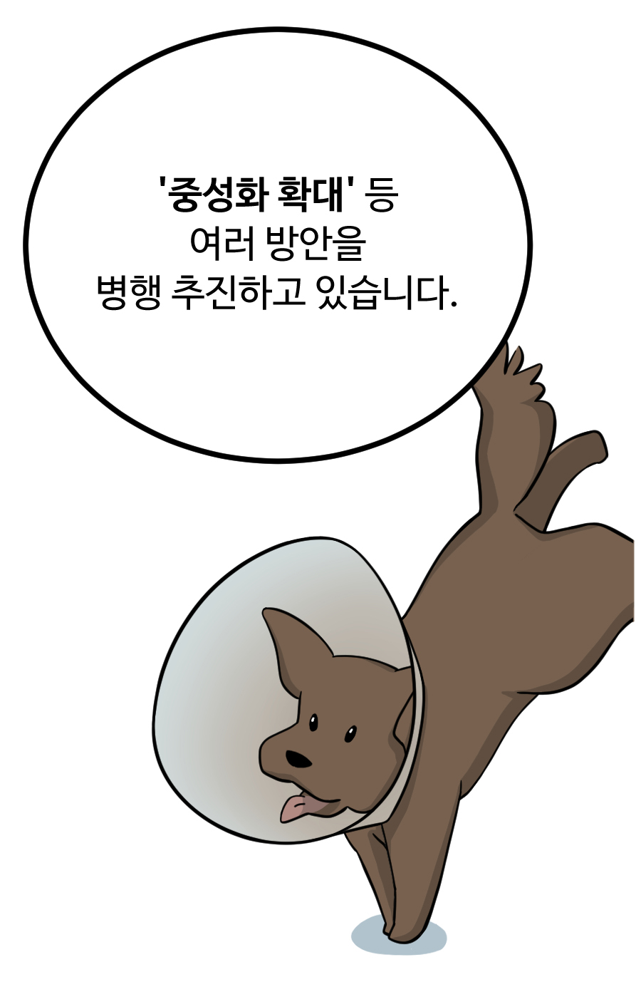 ‘중성화 확대’ 등 여러 방안을 병행 추진하고 있습니다.