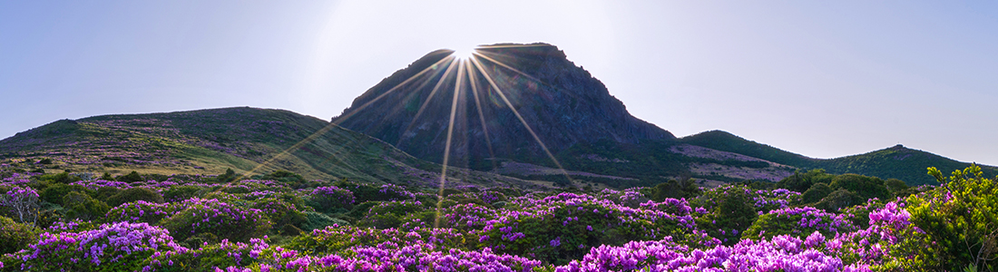 Jeju Island